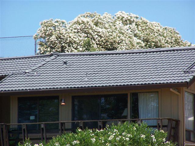 Tile Roof After